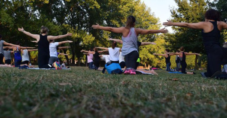 Outdoor Yoga - Women Performing Yoga on Green Grass Near Trees