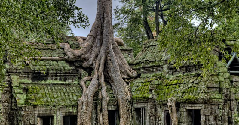 Historic Sites - Building With Tree
